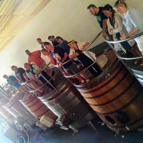 Photo-09-03-2017-11-50-52