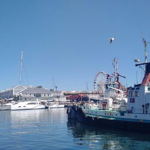 Photo-10-03-2017-12-28-36