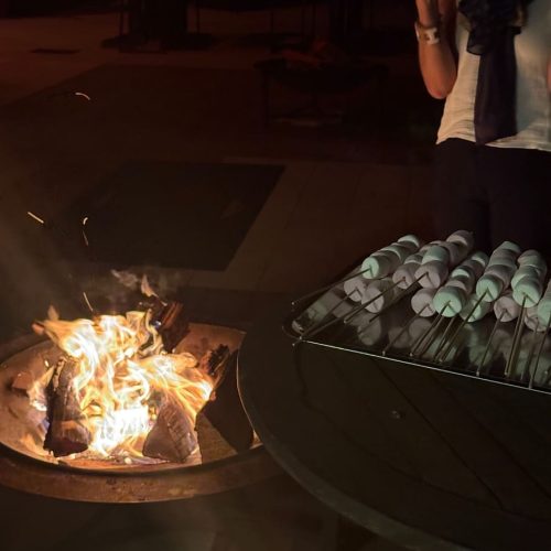 Seminaire ORPI GIE SUD (1)