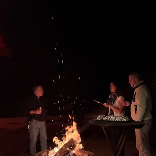 Seminaire ORPI GIE SUD (10)