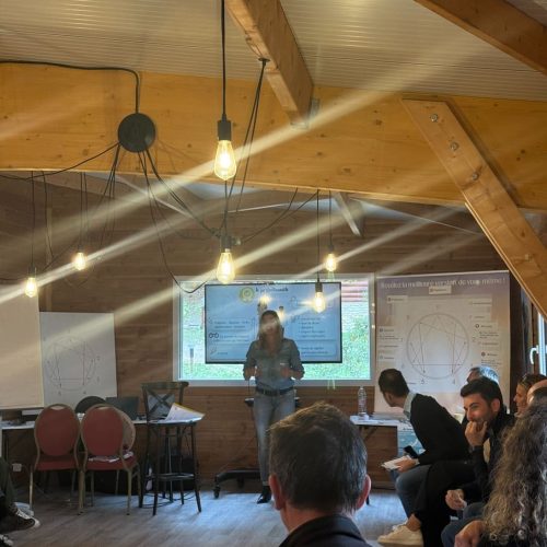 Seminaire ORPI GIE SUD (4)